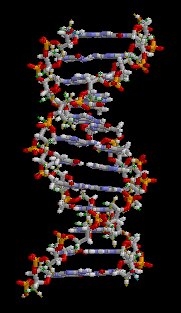 DNA